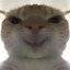 猫meme第一突破手