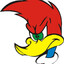 Pica pau