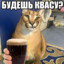 egor traxadron