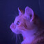 Ryan Catsling ツ