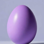 紫蛋