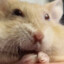 RESSIFLO