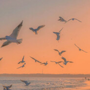 我的眼睛就是尺