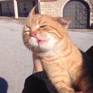 咕噜猫∧灬∧JC