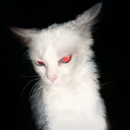 心向眼泪海_YOLO