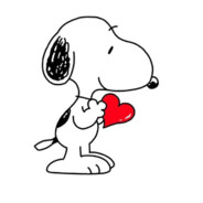 고독한독자시점