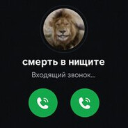 profile