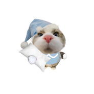 魔法少女郭德纲