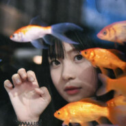 系猫咪不系狐狸