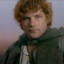 The Real Hero Samwise Gamgee