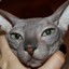 Kessy
