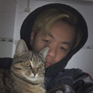 画一个姑娘陪着我