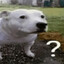 Cranking my dawg?