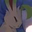 im so zooped