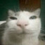 ꧁༺₦Ї₦ℑ₳༻꧂'s avatar