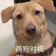 名不见经传的桃李第二