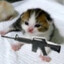 pawlover6