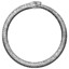 Ouroboros