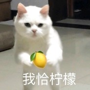 号多次被盗，以弃用