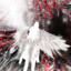 者blade of tears`