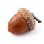 Acorn #rustclash.com