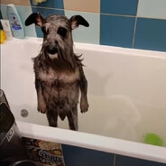 ДРiЖiК