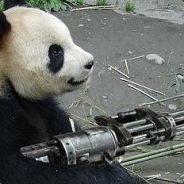 Skﯤ #^๖ۣۜAK-47 <3