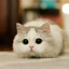 котик
