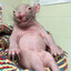 Tatumbo