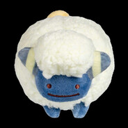 Cows