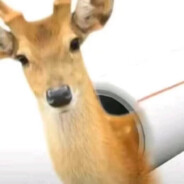 拐角野生的土豆地雷