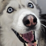 evil - steam id 76561198015196113