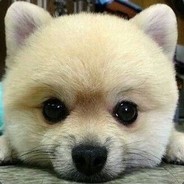 玉树临风一老头