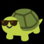 Mr-Turtle