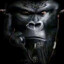 qvax23's avatar
