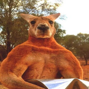 1 shot kangaroo