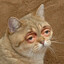 LAHAR's avatar