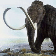 猛犸象