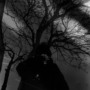 nascar - steam id 76561198402577254