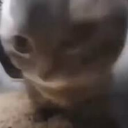 DJ Miekkim Chujem Robiony