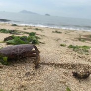 你吹牛毕不要带上我