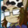 CaptainCowhat