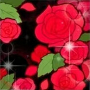 叱咤月海鱼鱼猫