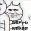 跟森哥学土猫