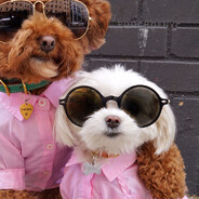 ШНЕЕЙНЕ ПЭПЭ