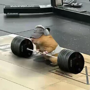 qp
