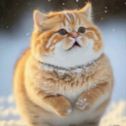 想减肥的猫猫头