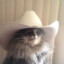 catwiffhat
