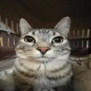 gerpetrgr's avatar
