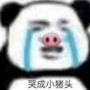哭成小猪头RR